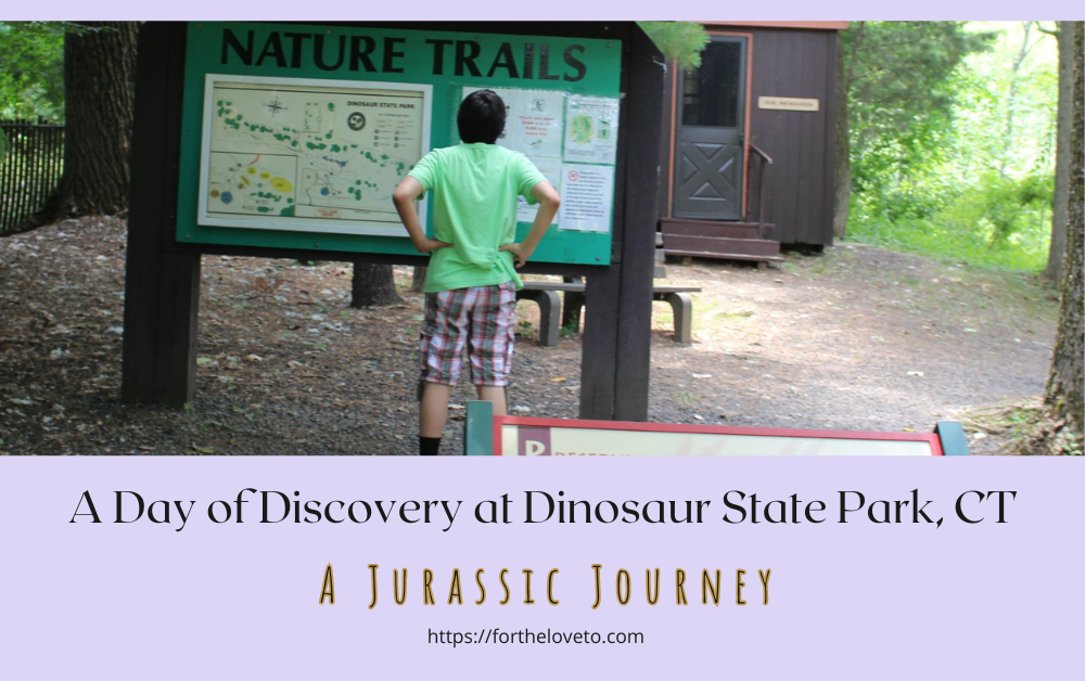 A Day of Discovery at Dinosaur State Park