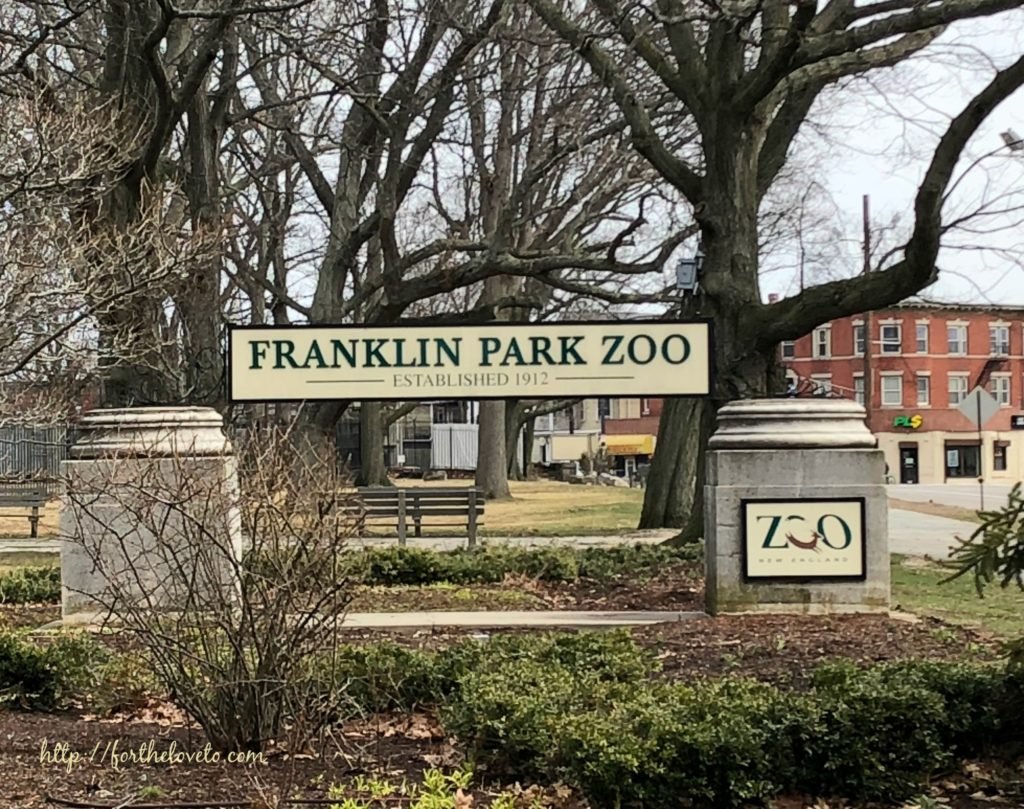 Franklin Park Zoo Visit 