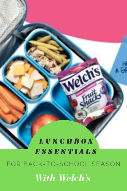 Lunchbox Essentials for Back-to-School