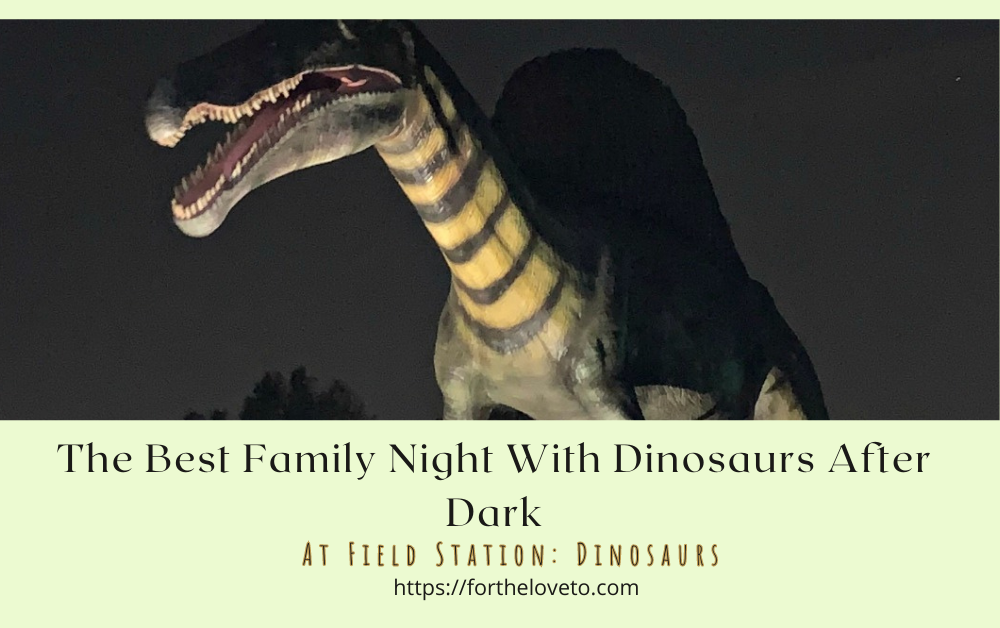 The Best Family Night With Dinosaurs After Dark