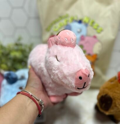 Spreading Cappiness capybara plush character with cute food-themed accessories