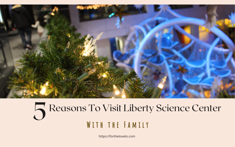5 Reasons To Visit Liberty Science Center With the Family post thumbnail image