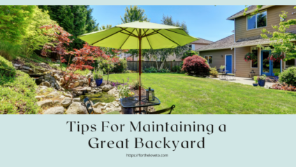 Tips For Maintaining a Great Backyard
