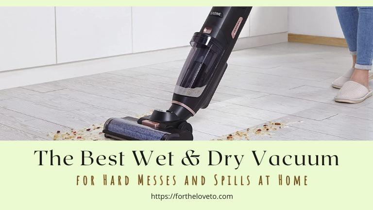 The Best Wet & Dry Vacuum for Hard Messes and Spills at Home post thumbnail image
