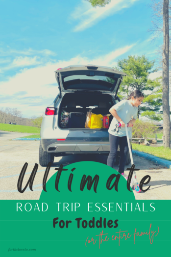 Ultimate Road Trip Essentials