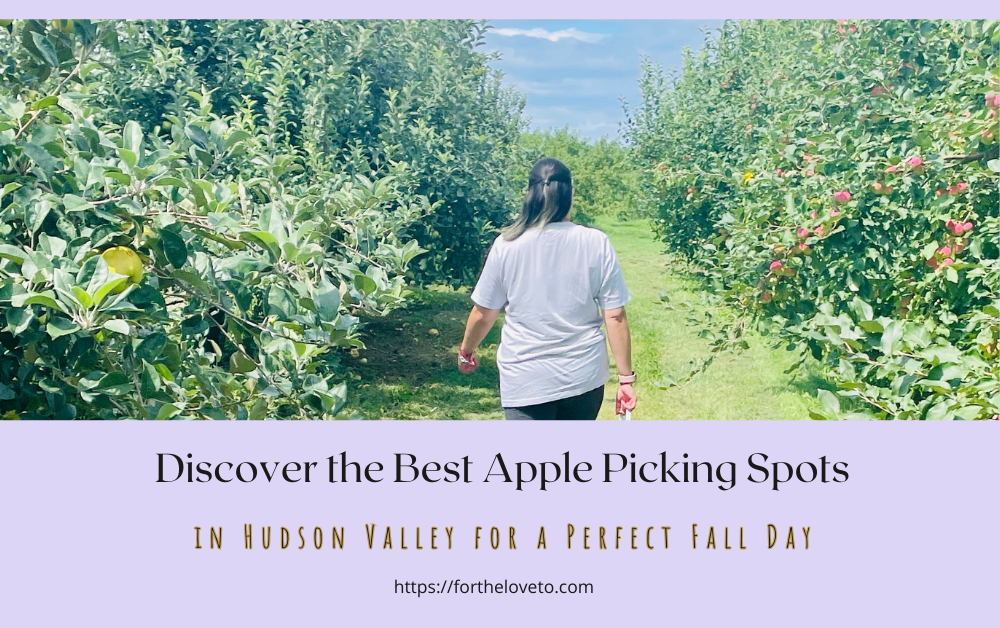 Discover the Best Apple Picking Spots in Hudson Valley for a Perfect Fall Day post thumbnail image