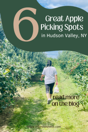 Best Apple Picking Spots in Hudson Valley