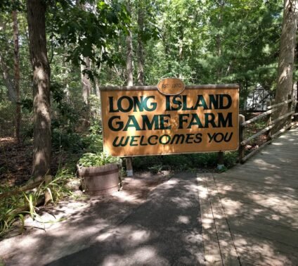 Things to do in Long Island