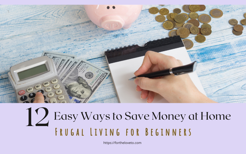 Frugal Living for Beginners: 12 Easy Strategies to Practice Frugality at Home post thumbnail image