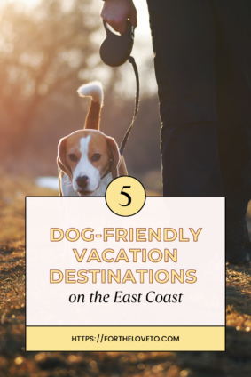 Dog-Friendly Vacation Destinations