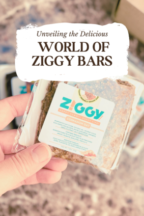 Ziggy Bars Digestive Wellness Snacking