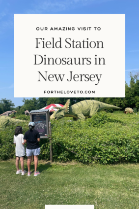 Field Station Dinosaurs Why your Family should Visit