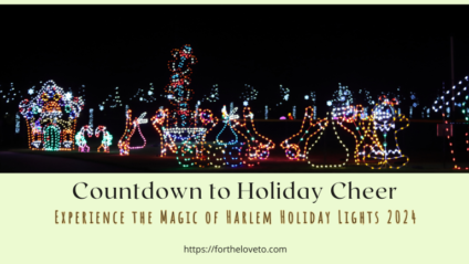 Countdown to Holiday Cheer: Experience the Magic of Harlem Holiday Lights 2024