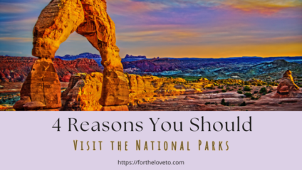 A stunning sunset over Arches National Park, featuring the Delicate Arch with vibrant colors. Overlaid text reads: '4 Reasons You Should Visit the National Parks' - fortheloveto.com