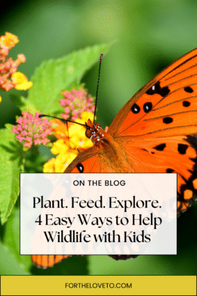 Close-up of an orange butterfly on colorful flowers with blog title overlay: “Plant. Feed. Explore. 4 Easy Ways to Help Wildlife with Kids” – perfect for promoting family-friendly backyard wildlife tips.