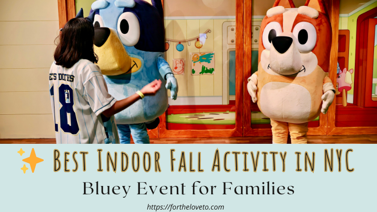 Bluey Event in New York poster with kids meeting Bluey and Bingo, promoted as best indoor fall activity for families.