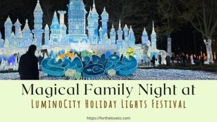 Family holiday fun on Long Island! Visit LuminoCity Festival and use code FORTHELOVETO for savings.