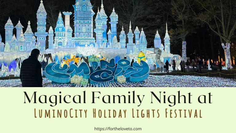 🌟 Our Magical Visit to the LuminoCity Holiday Lights Festival – A Fantasy Winter Fairyland post thumbnail image