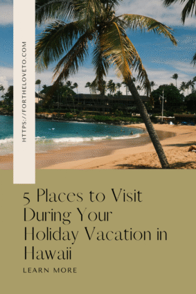 A tropical Hawaiian beach with a leaning palm tree, turquoise water, and sunny skies, highlighting the blog post 5 Places to Visit During Your Holiday Vacation in Hawaii.