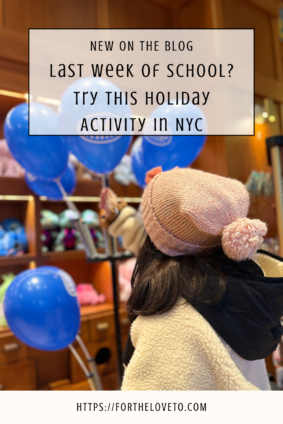 Last week of school winter break activity for kids at Holiday Bluey x CAMP NYC