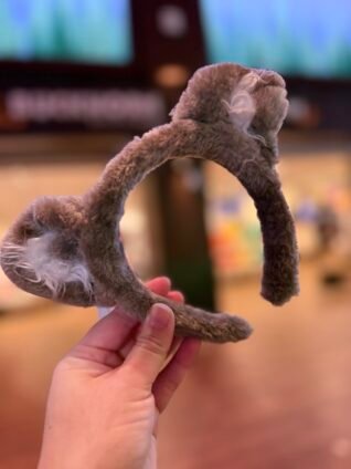 Complimentary Great Wolf Lodge wolf ears given to kids at check-in.