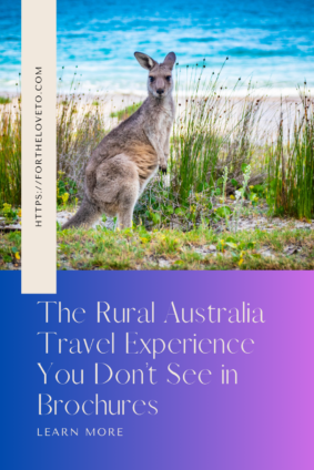Kangaroo standing near coastal grass and ocean as part of the rural Australia travel experience beyond tourist areas