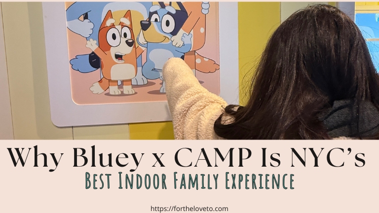 Best Things to Do During NYC School Break Week (Why Bluey x CAMP Is a Must for Families) post thumbnail image