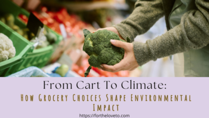 Person selecting fresh broccoli at grocery store highlighting environmental impact of grocery shopping