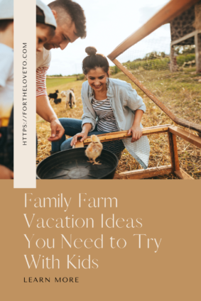 Family enjoying a farm stay with kids interacting with baby chicks during a hands-on agritourism experience