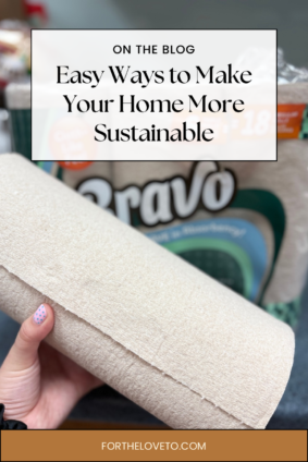 Eco-friendly paper towels for sustainable home cleaning and everyday messes.