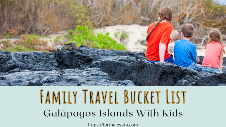 How To Plan A Galápagos Family Vacation: Kid-Friendly Tips, Budget Considerations, And What Parents Should Know  post thumbnail image