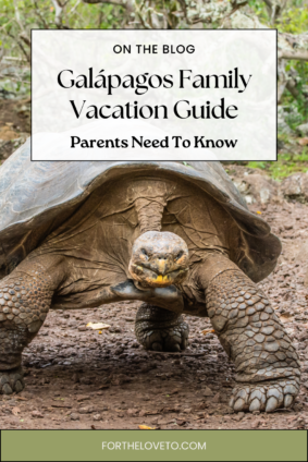 Giant tortoise in the Galápagos Islands during a family vacation adventure exploring wildlife and nature with kids.