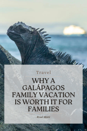 Marine iguana resting near the ocean in the Galápagos Islands during a memorable family vacation experience.