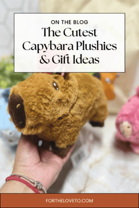 Find the best capybara gifts with this adorable Watermelon Capy-Era plush, one of the cutest capybara plushies for kids, teens, and collectors.