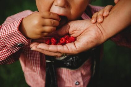 healthy eating habits for families